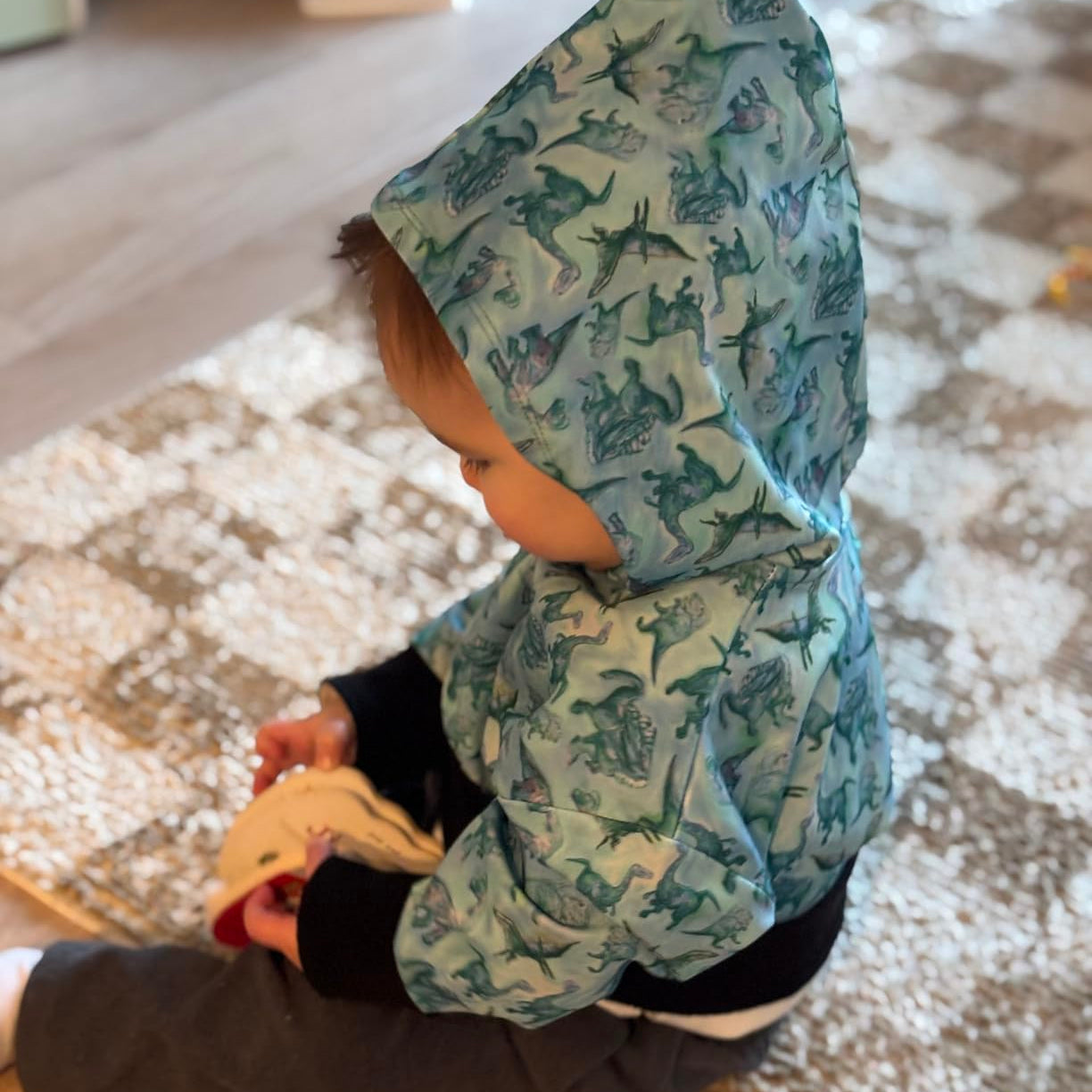 Dinosaur Hoodie